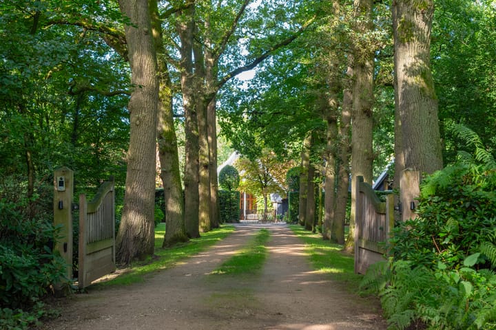 Foto 21 van Leeferdinklaan 4