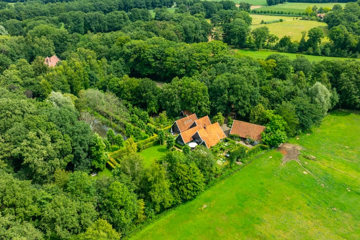 Foto 4 van Leeferdinklaan 4