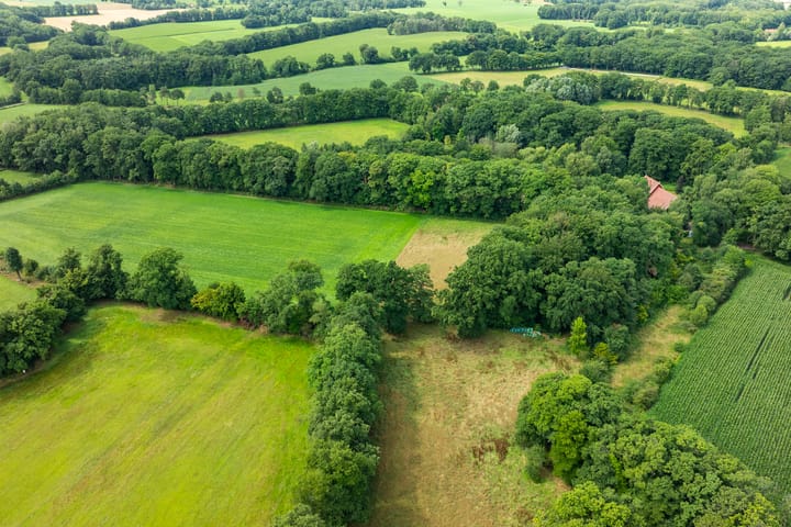 Foto 15 van Leeferdinklaan 4