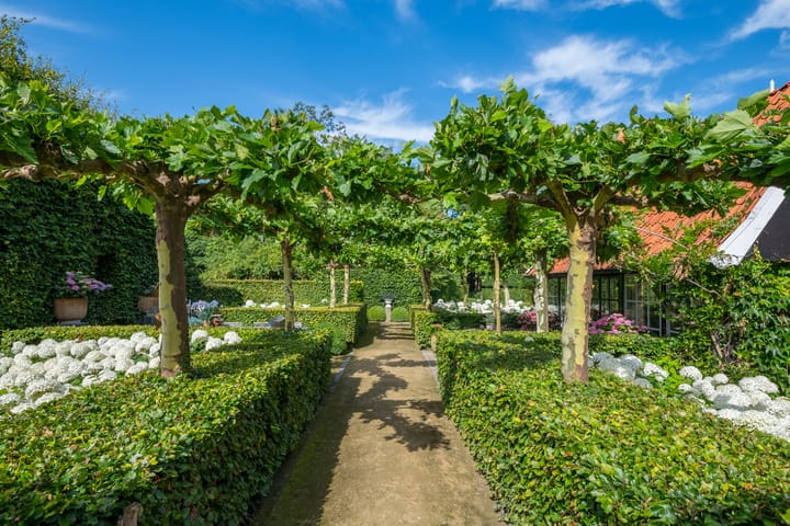 Foto 47 van Leeferdinklaan 4