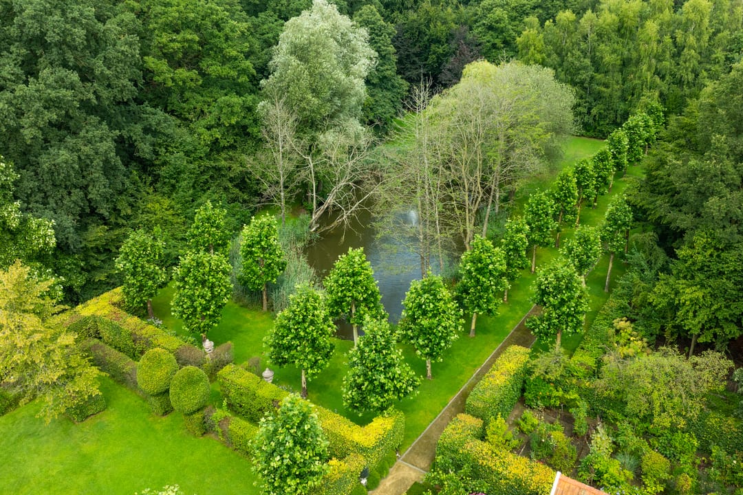 Foto 8 van Leeferdinklaan 4