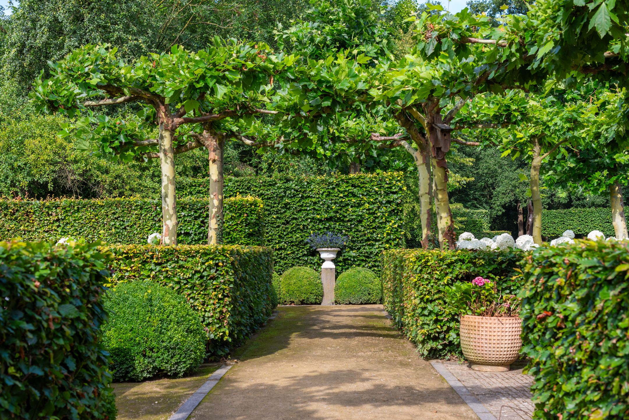 Foto 48 van Leeferdinklaan 4