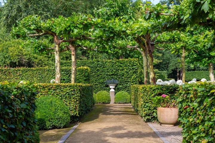 Foto 48 van Leeferdinklaan 4