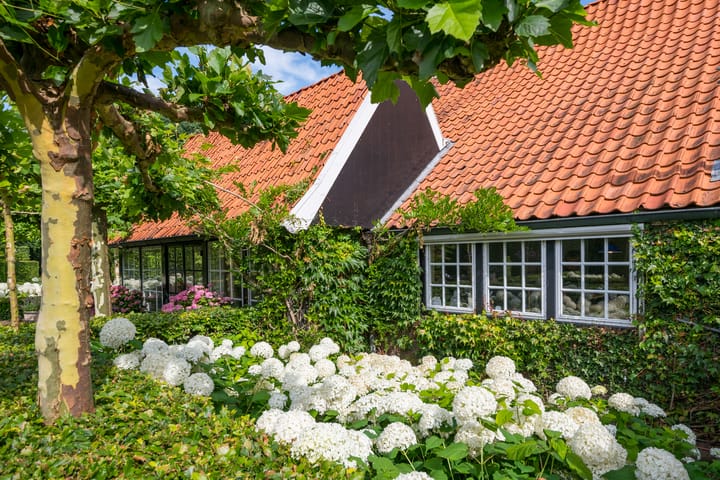 Foto 49 van Leeferdinklaan 4