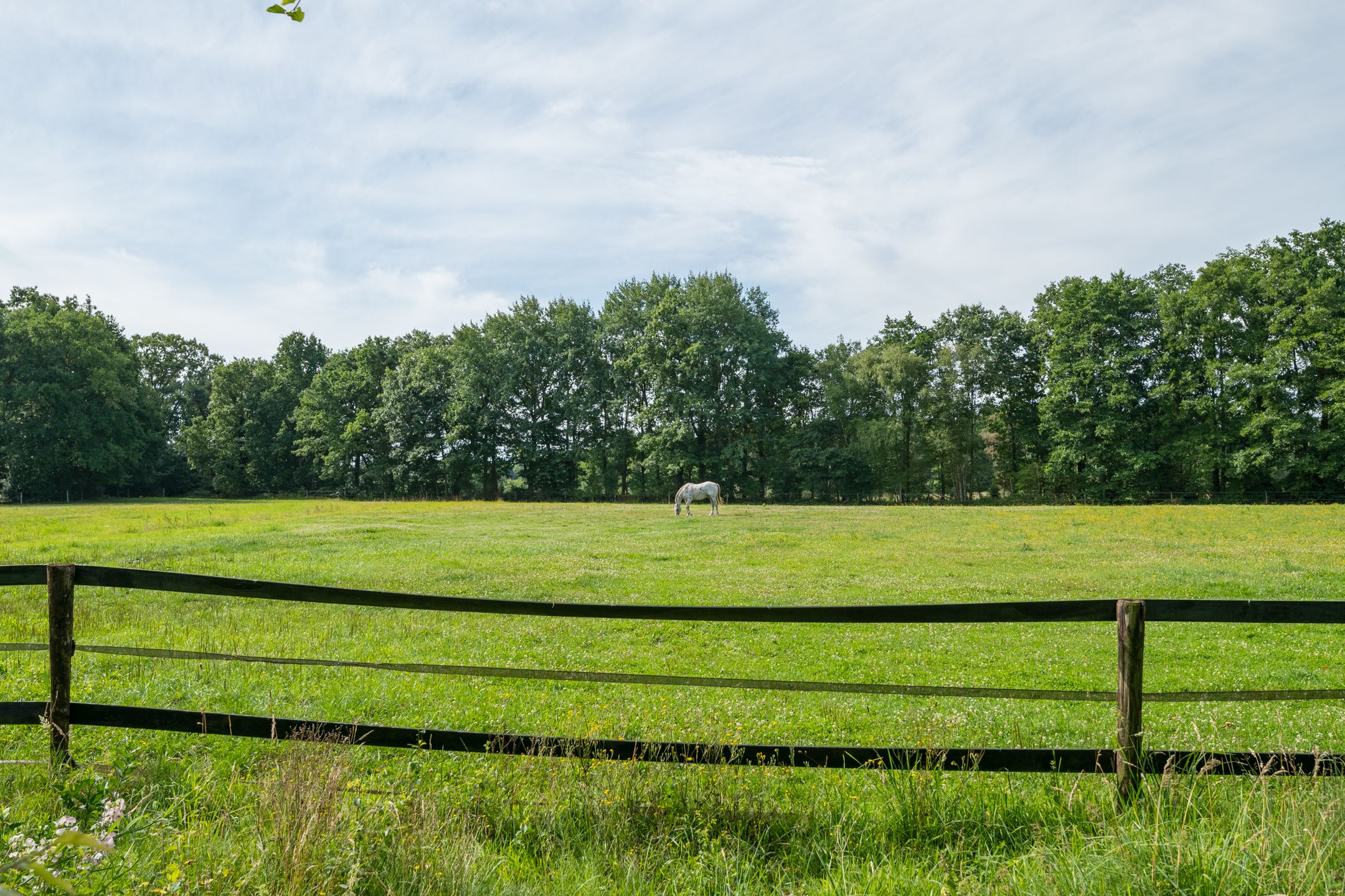 Foto 57 van Leeferdinklaan 4