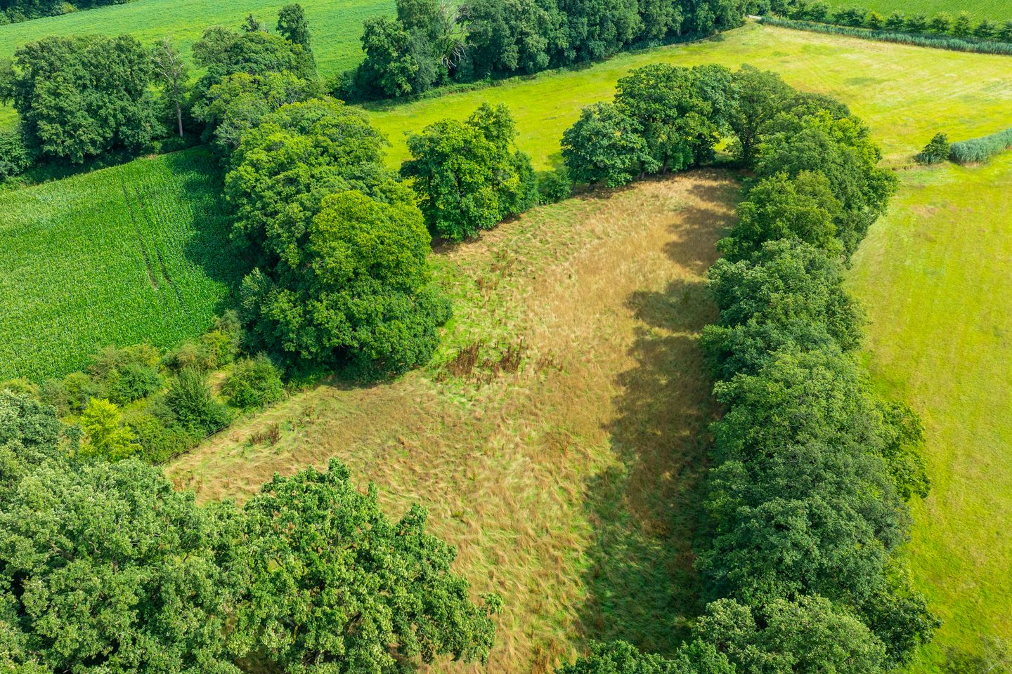 Foto 14 van Leeferdinklaan 4