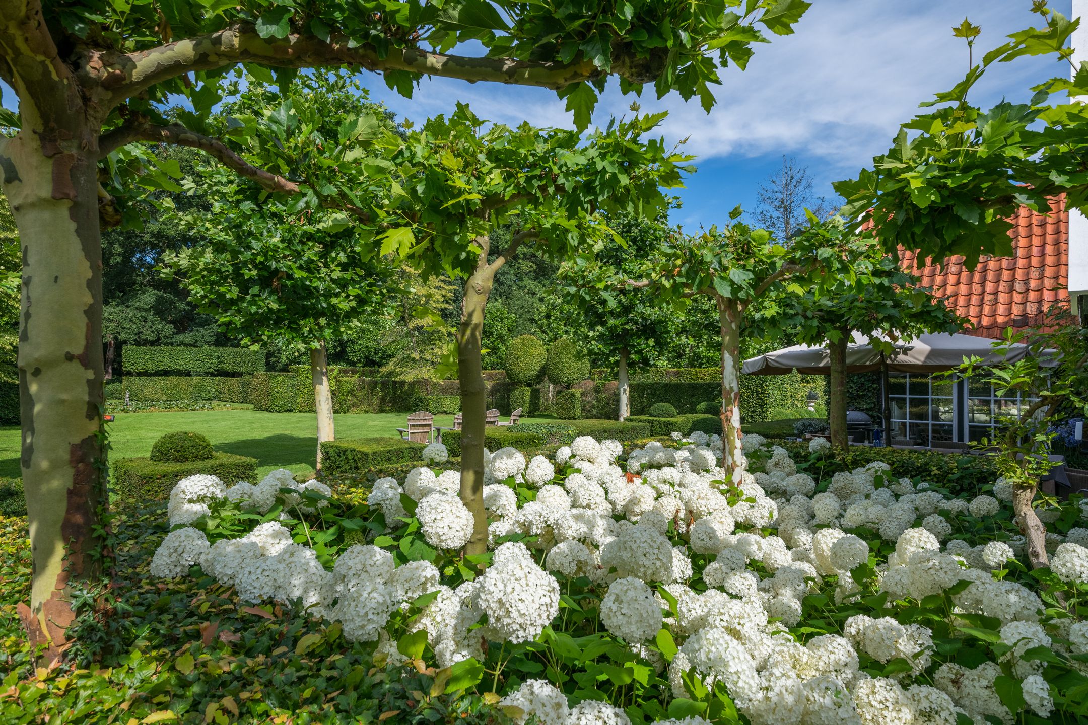 Foto 63 van Leeferdinklaan 4