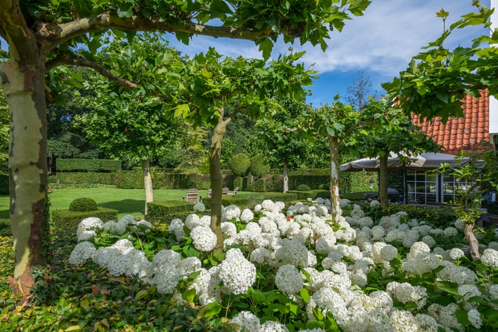 Foto 63 van Leeferdinklaan 4