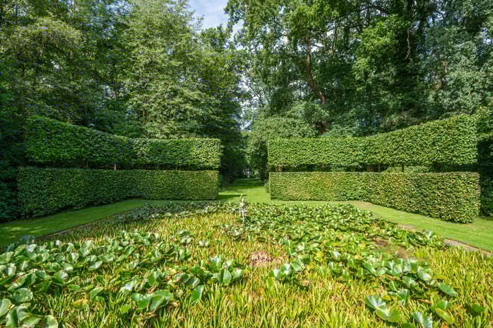 Foto 85 van Leeferdinklaan 4