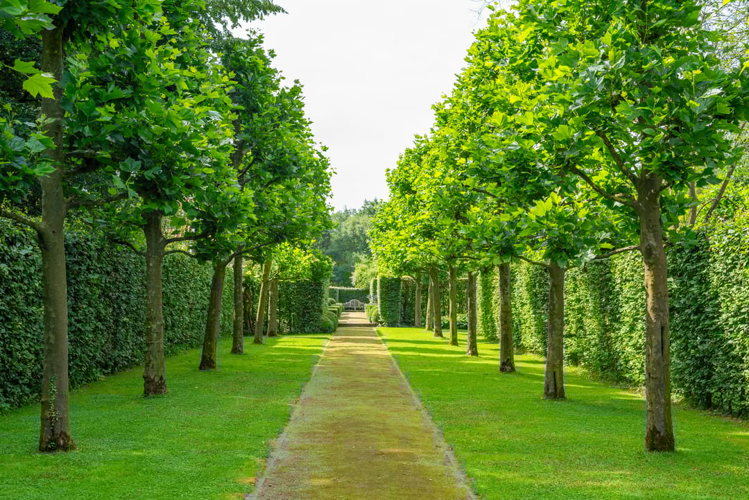 Foto 101 van Leeferdinklaan 4