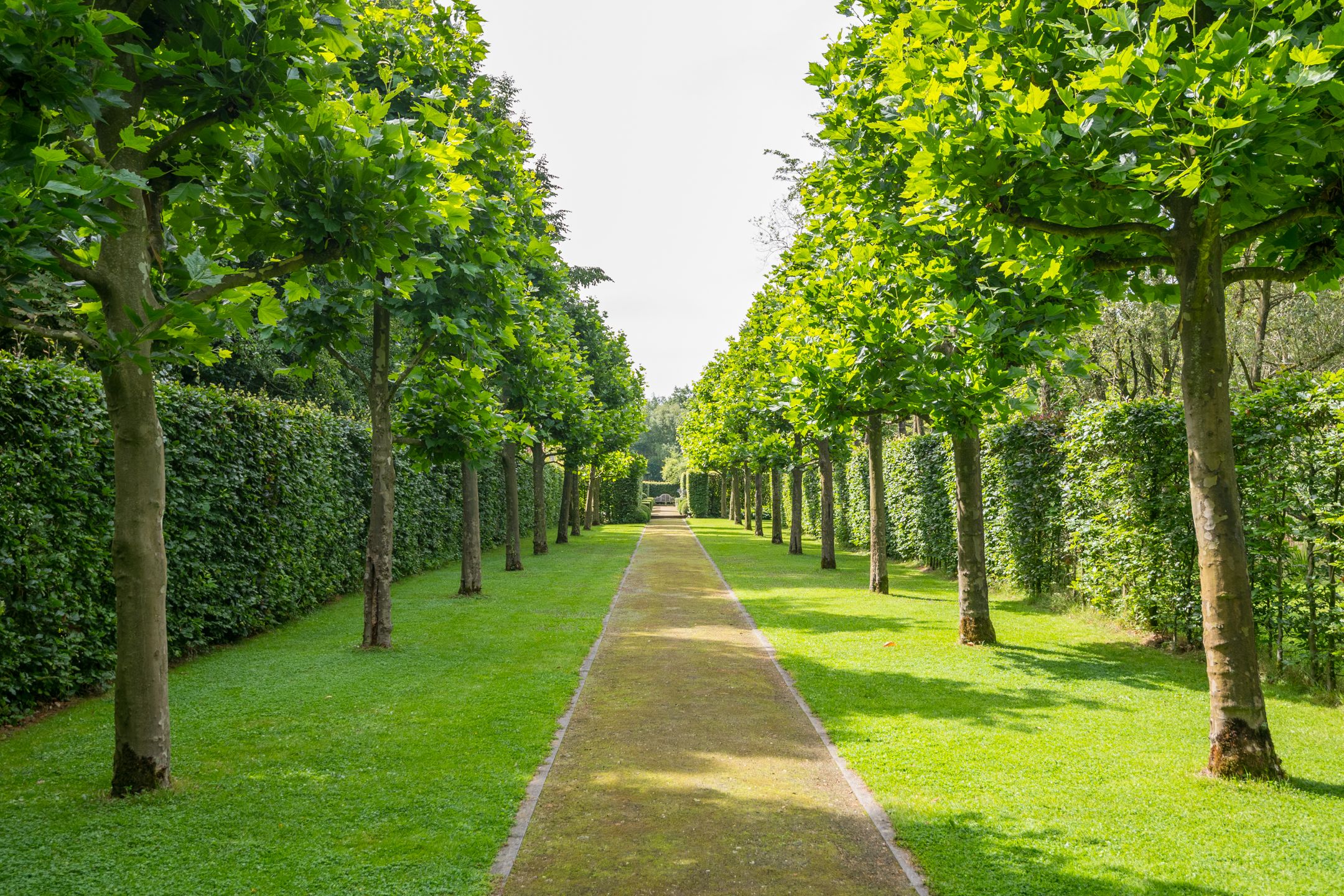 Foto 102 van Leeferdinklaan 4