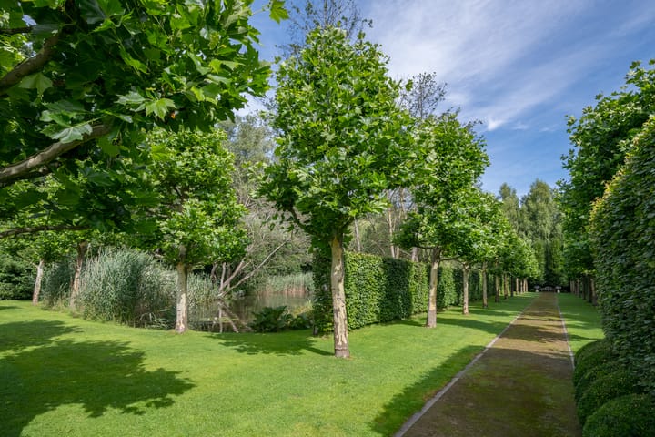 Foto 107 van Leeferdinklaan 4