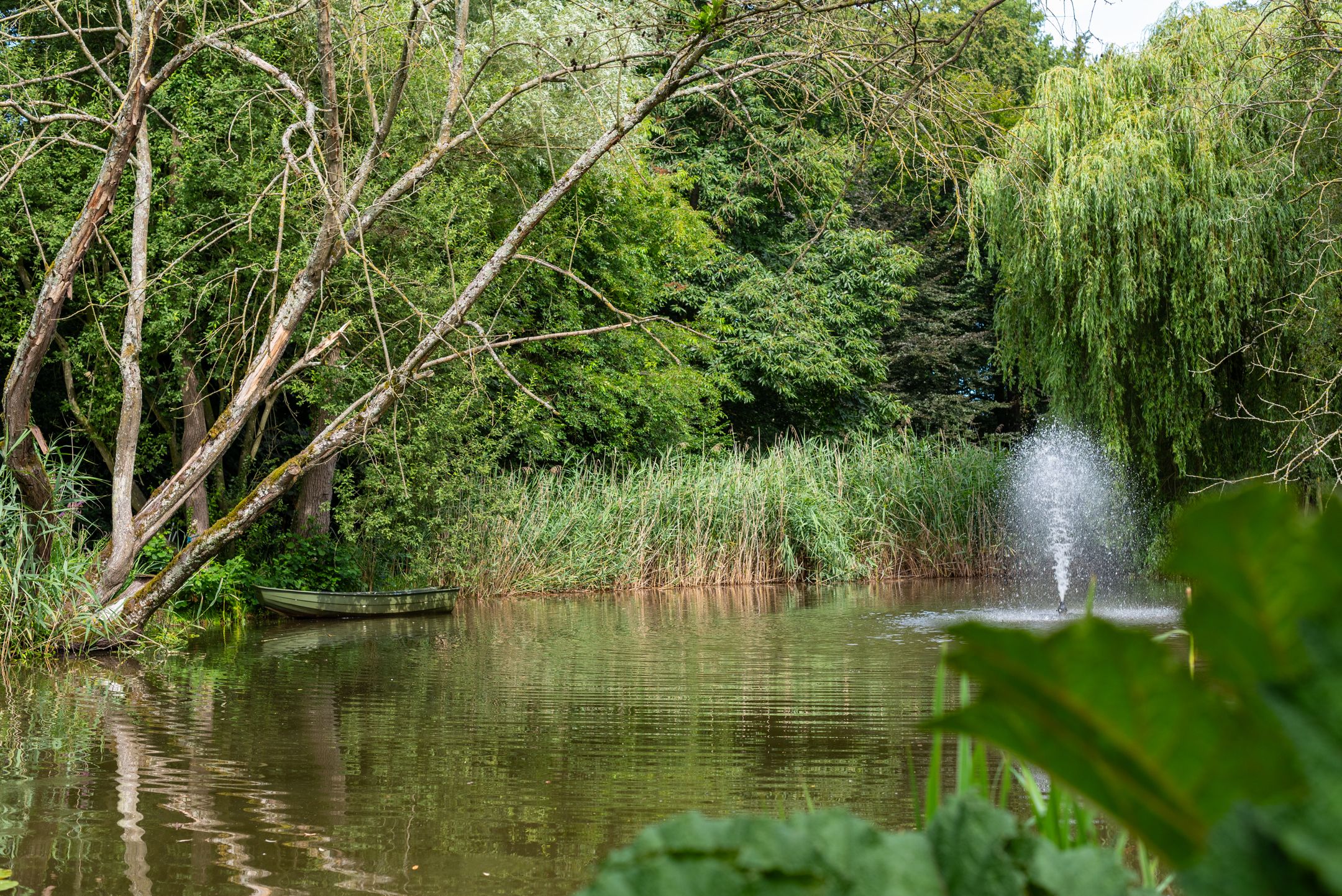 Foto 108 van Leeferdinklaan 4