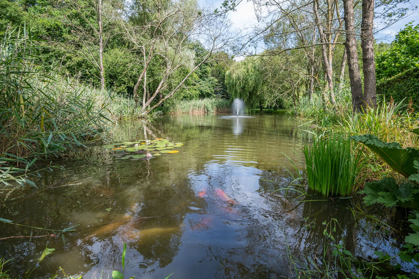 Foto 110 van Leeferdinklaan 4