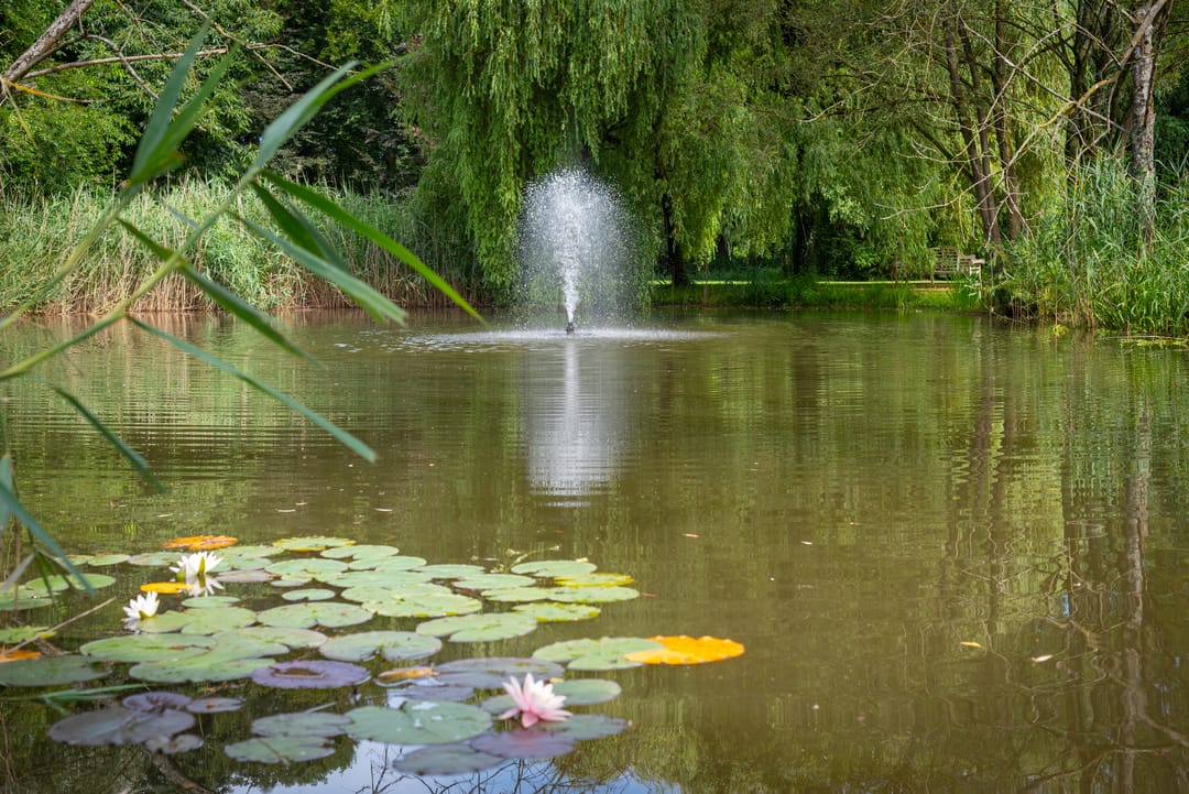 Foto 112 van Leeferdinklaan 4