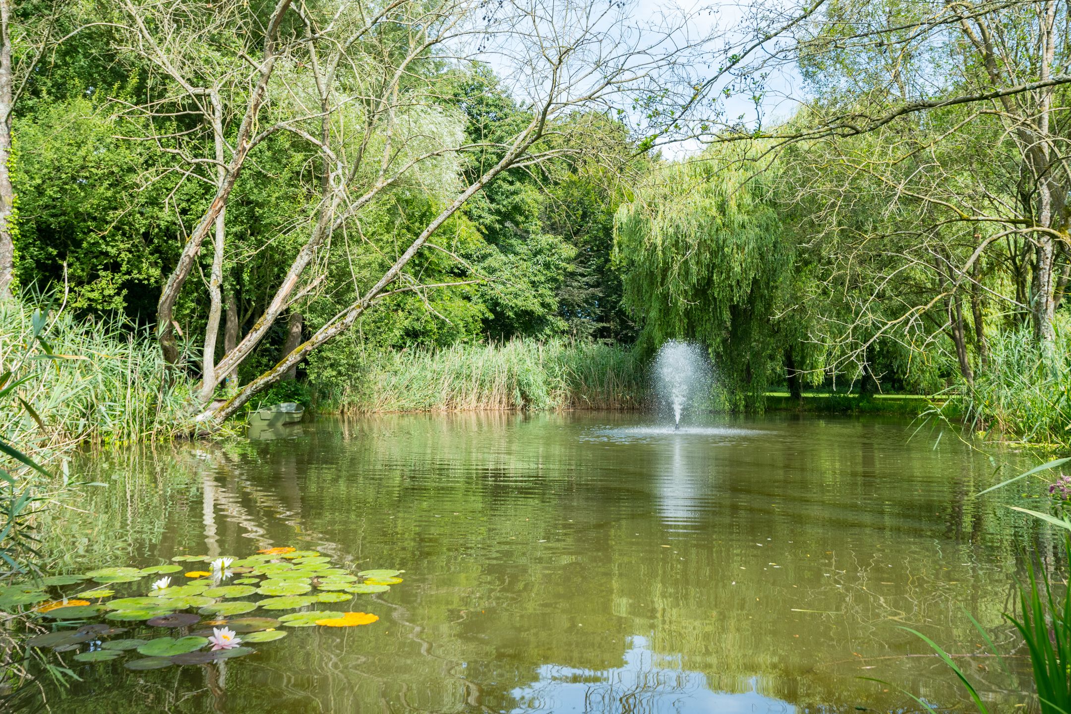 Foto 111 van Leeferdinklaan 4