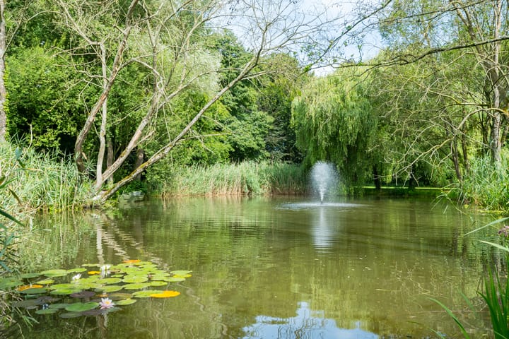 Foto 111 van Leeferdinklaan 4