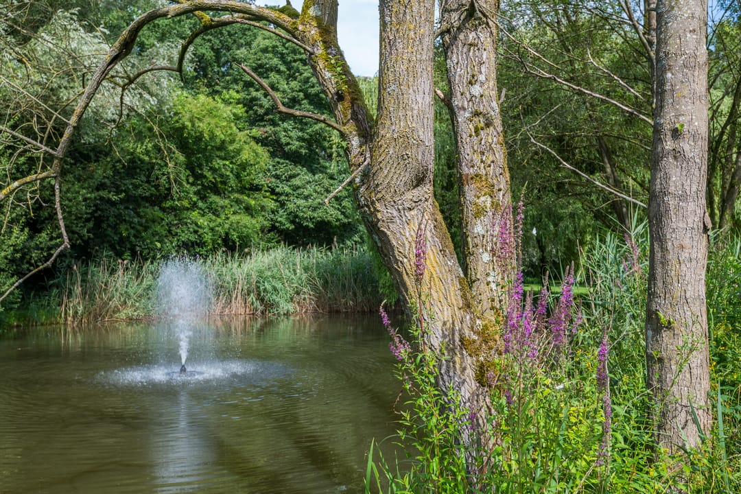 Foto 113 van Leeferdinklaan 4