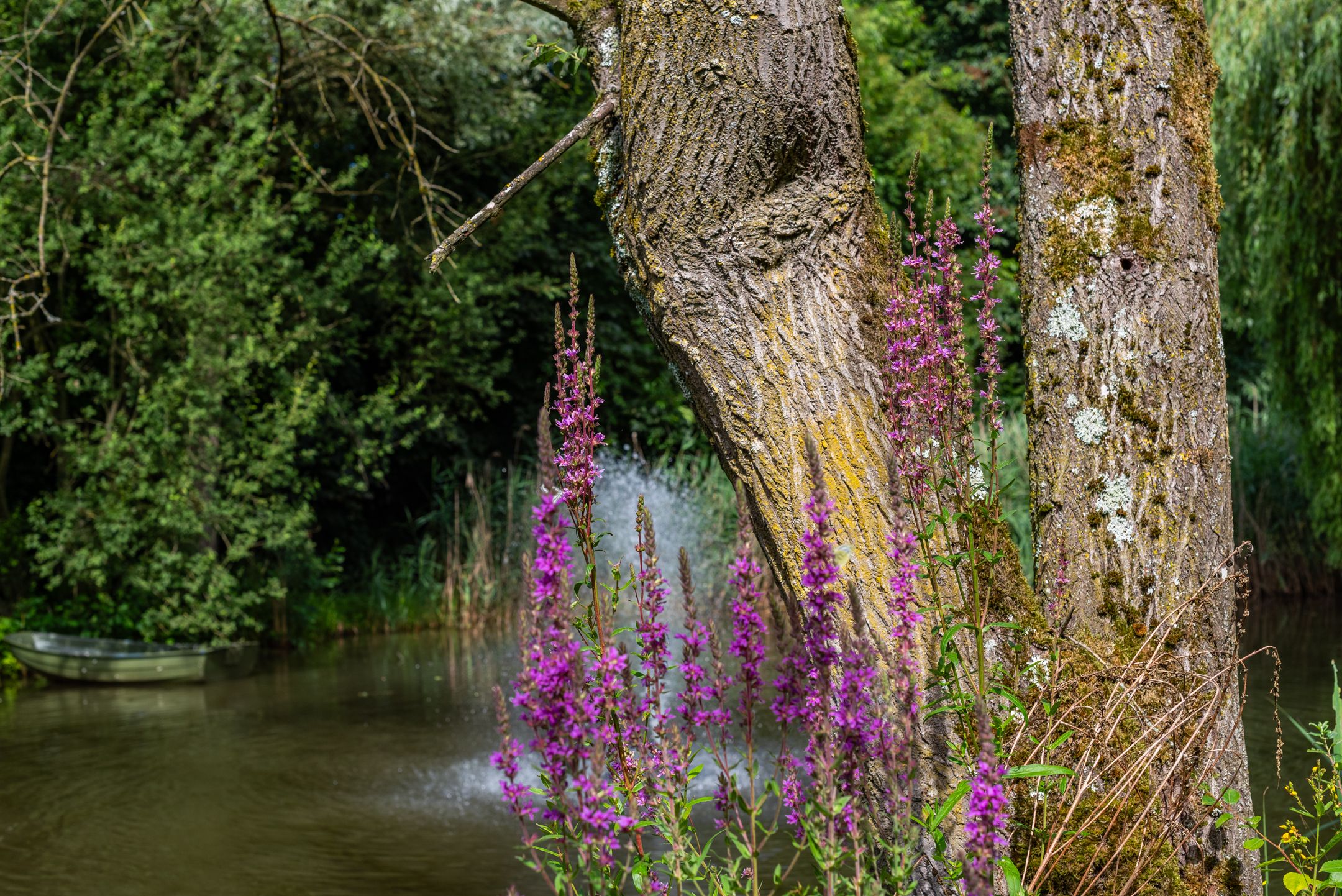 Foto 114 van Leeferdinklaan 4