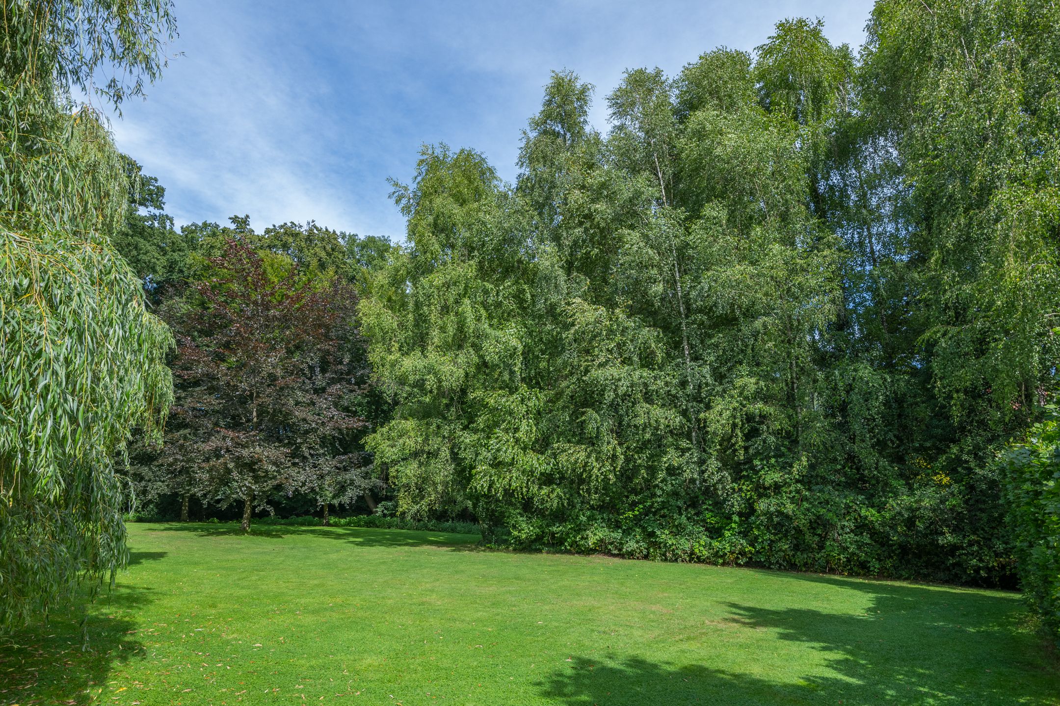 Foto 117 van Leeferdinklaan 4