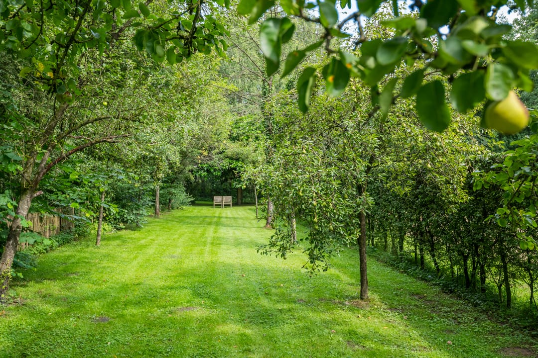 Foto 122 van Leeferdinklaan 4