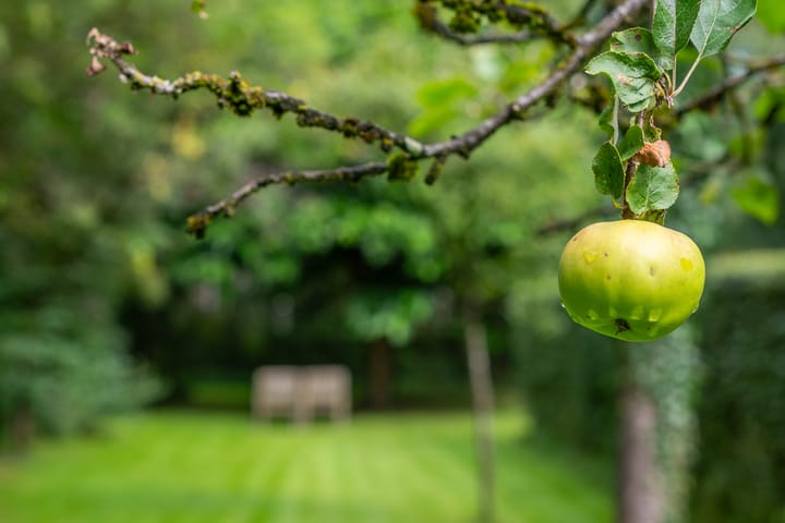 Foto 124 van Leeferdinklaan 4