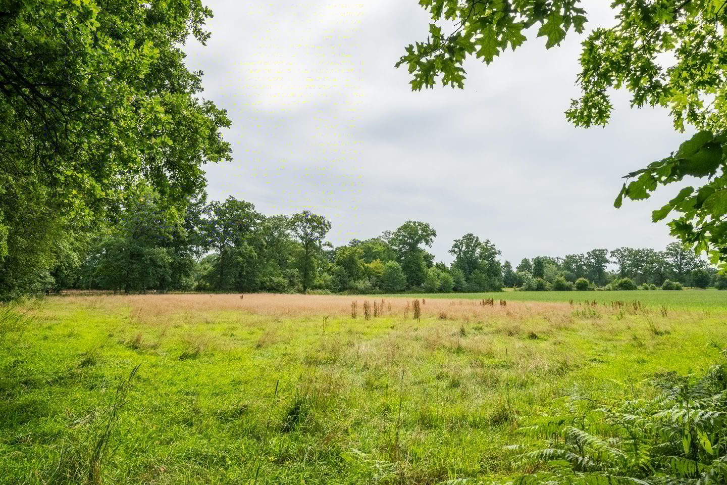 Foto 125 van Leeferdinklaan 4