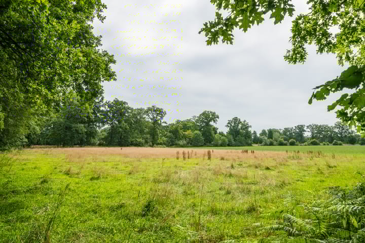 Foto 125 van Leeferdinklaan 4