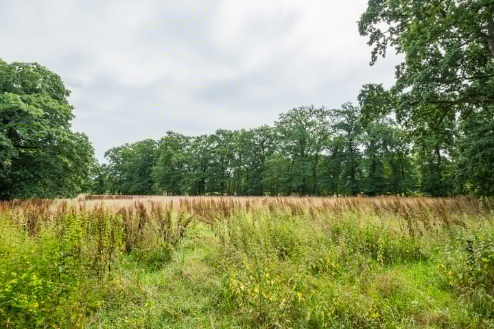 Foto 127 van Leeferdinklaan 4