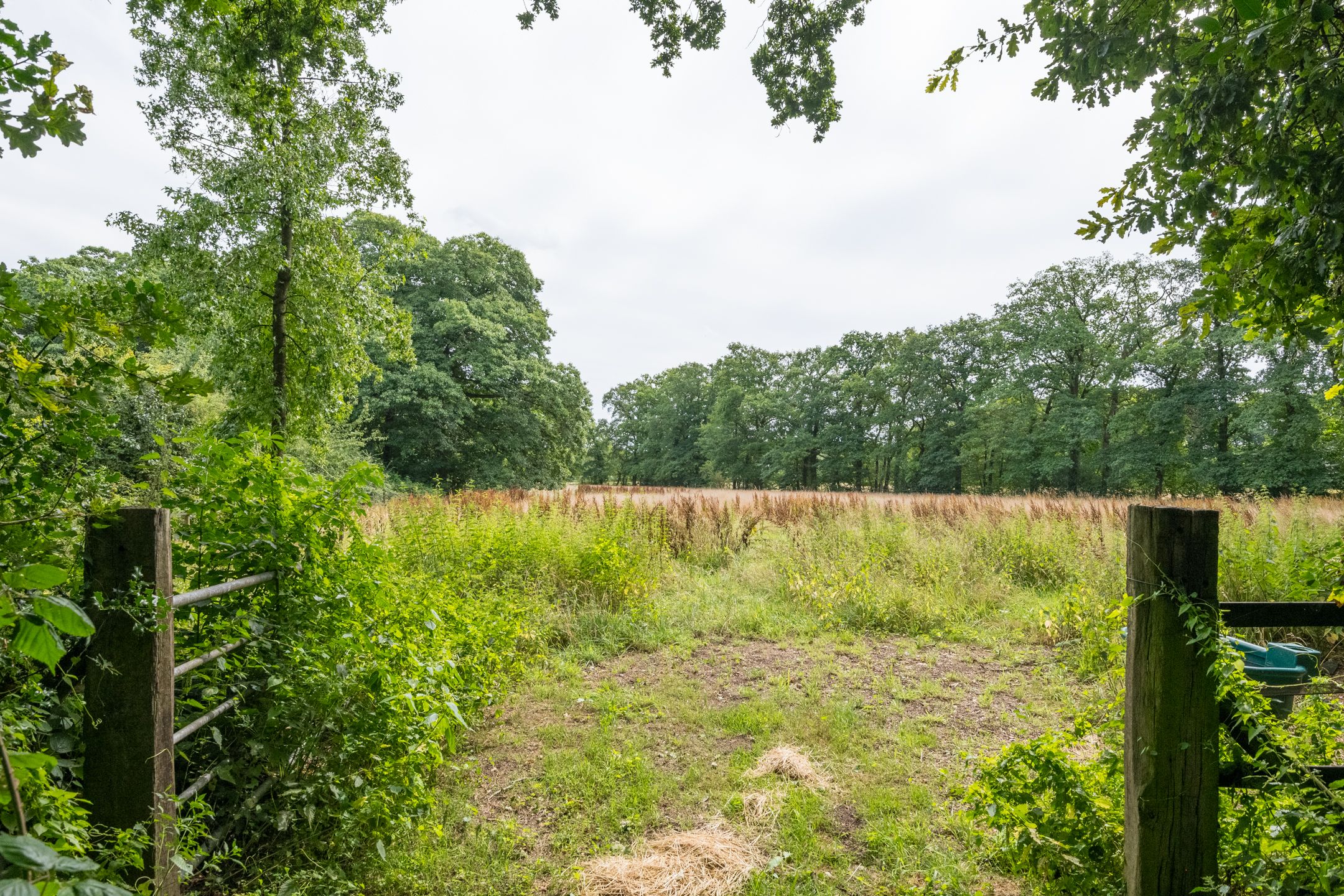 Foto 126 van Leeferdinklaan 4