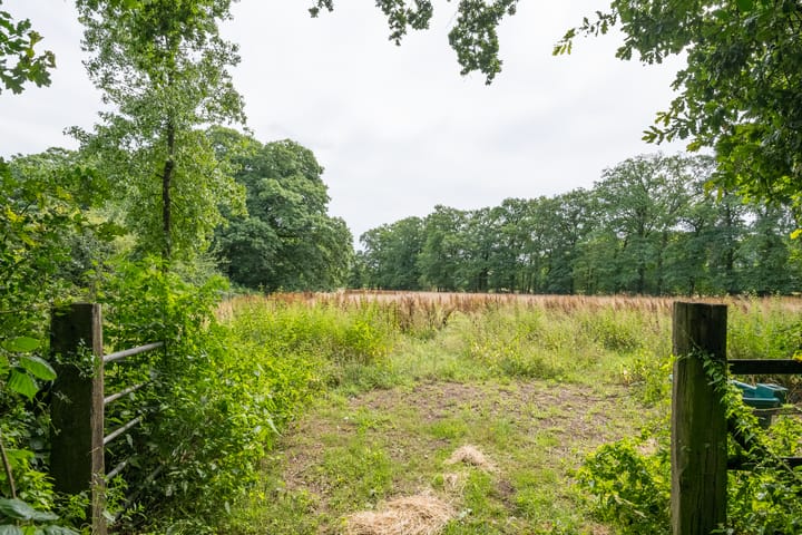 Foto 126 van Leeferdinklaan 4