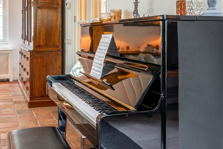 Photo 23 of Nieuw-Loosdrechtsedijk 175