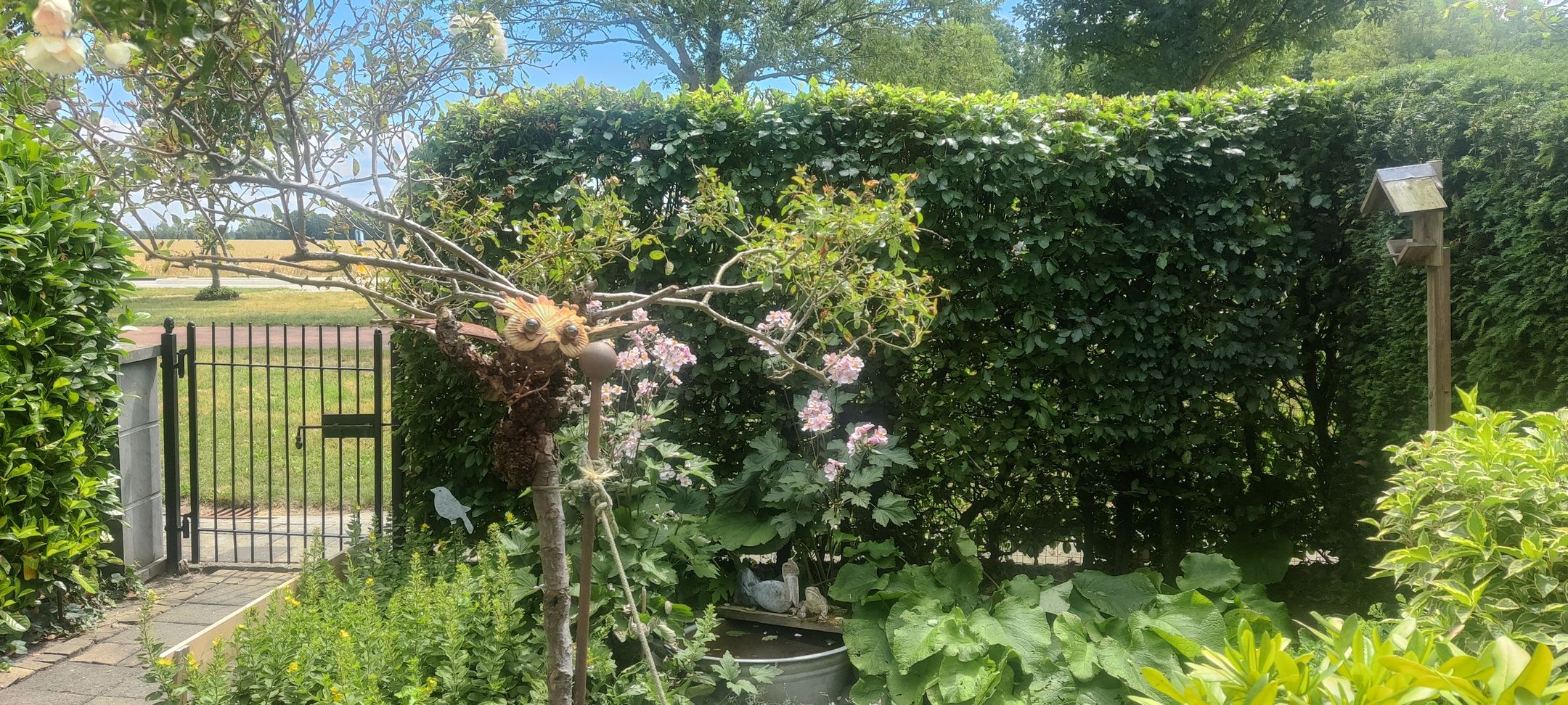 Foto 51 van Hondegemsweg 1