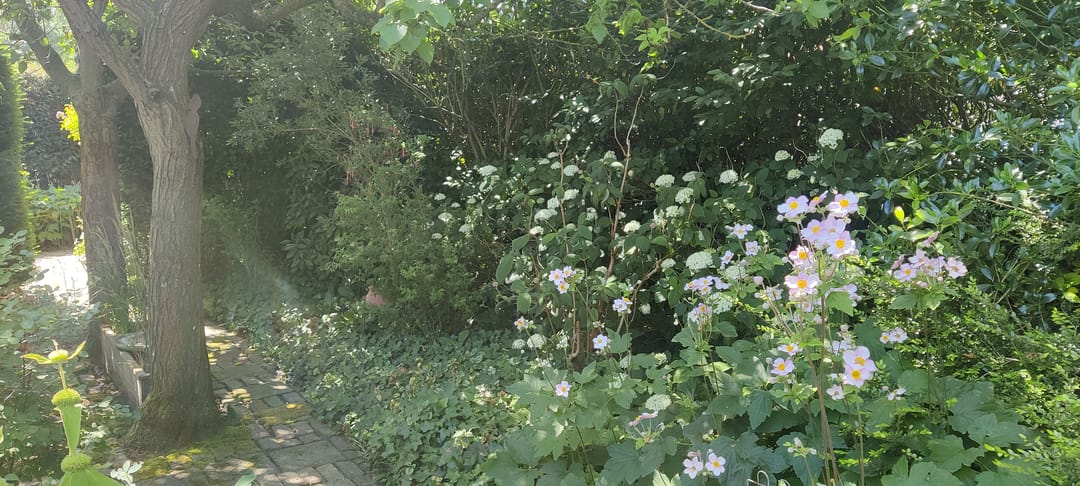 Foto 53 van Hondegemsweg 1