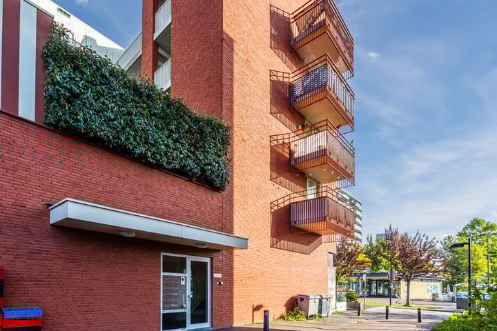 Foto 4 van São Paulostraat 19