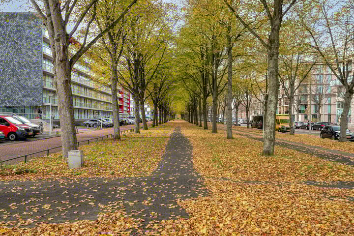 Foto 29 van Osdorper Ban 619