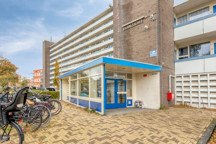 Foto 7 van Honthorstlaan 254