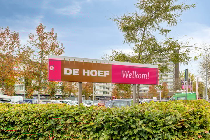 Foto 39 van Honthorstlaan 254