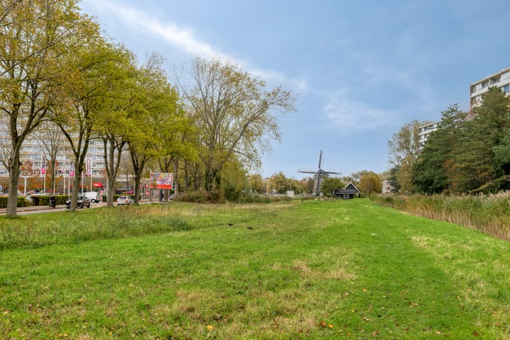 Foto 40 van Honthorstlaan 254