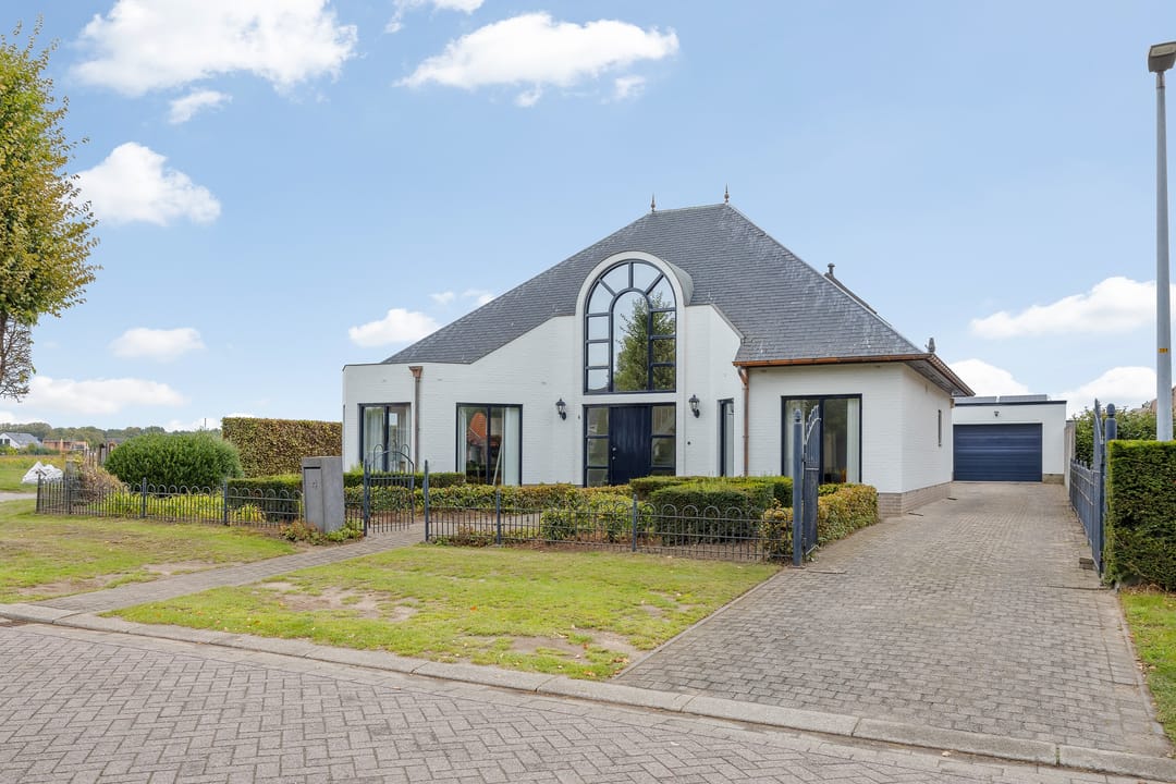 Photo 1 of Kastelein 4