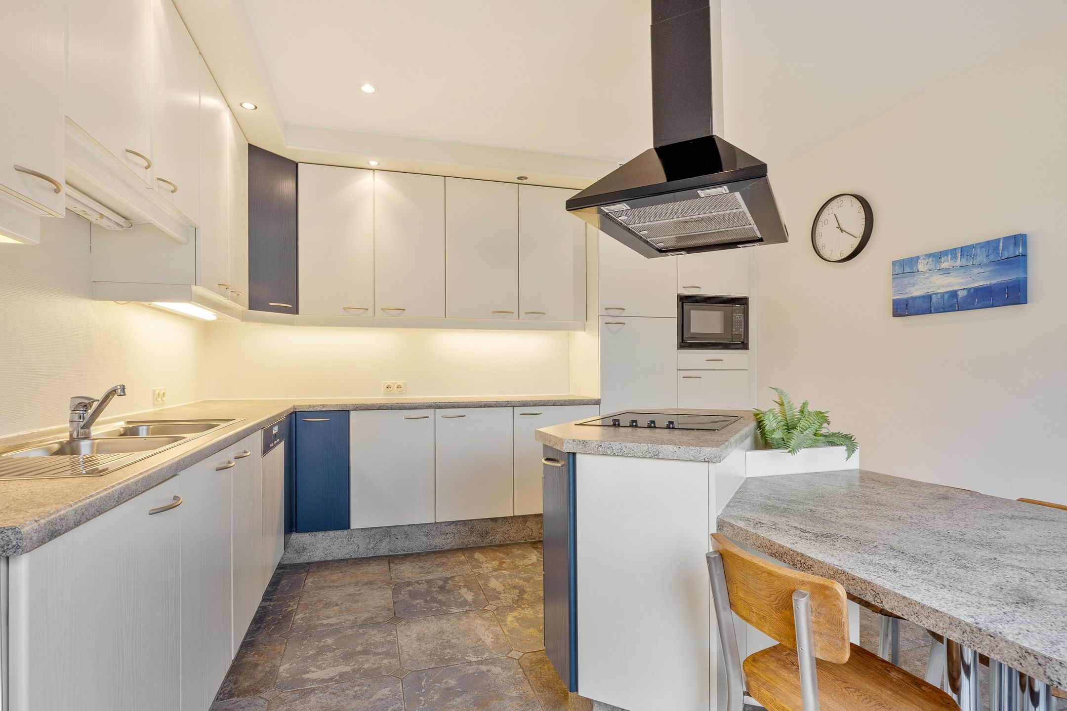 Photo 15 of Kastelein 4