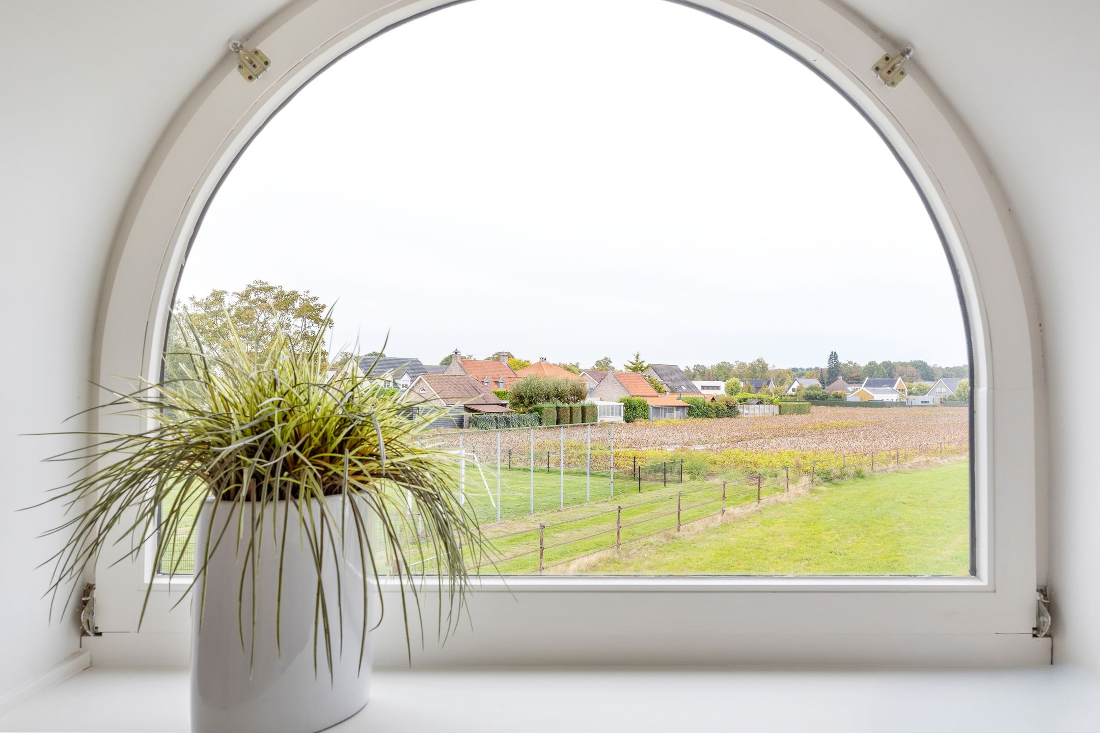 Photo 27 of Kastelein 4