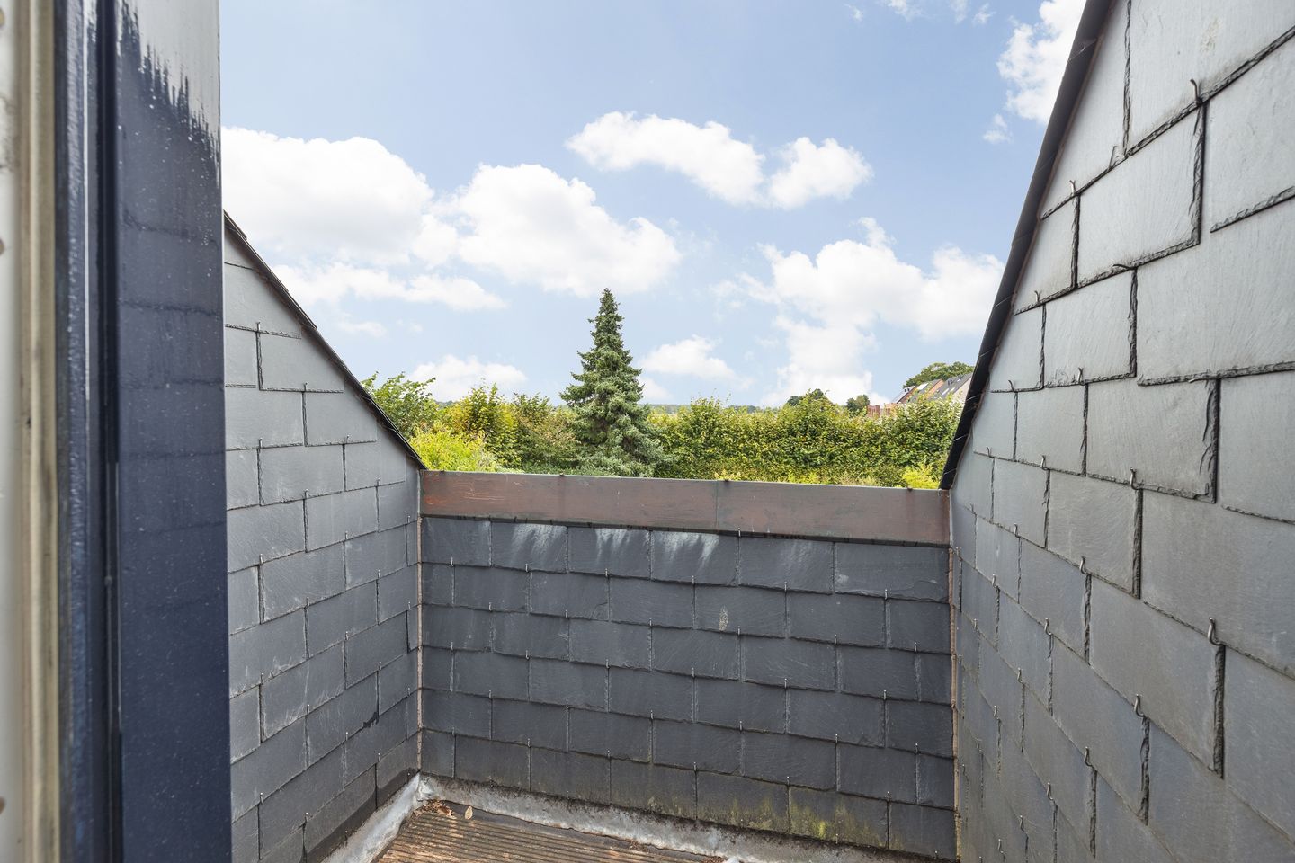 Photo 29 of Kastelein 4