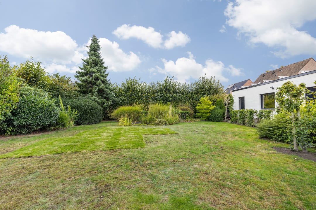 Photo 43 of Kastelein 4