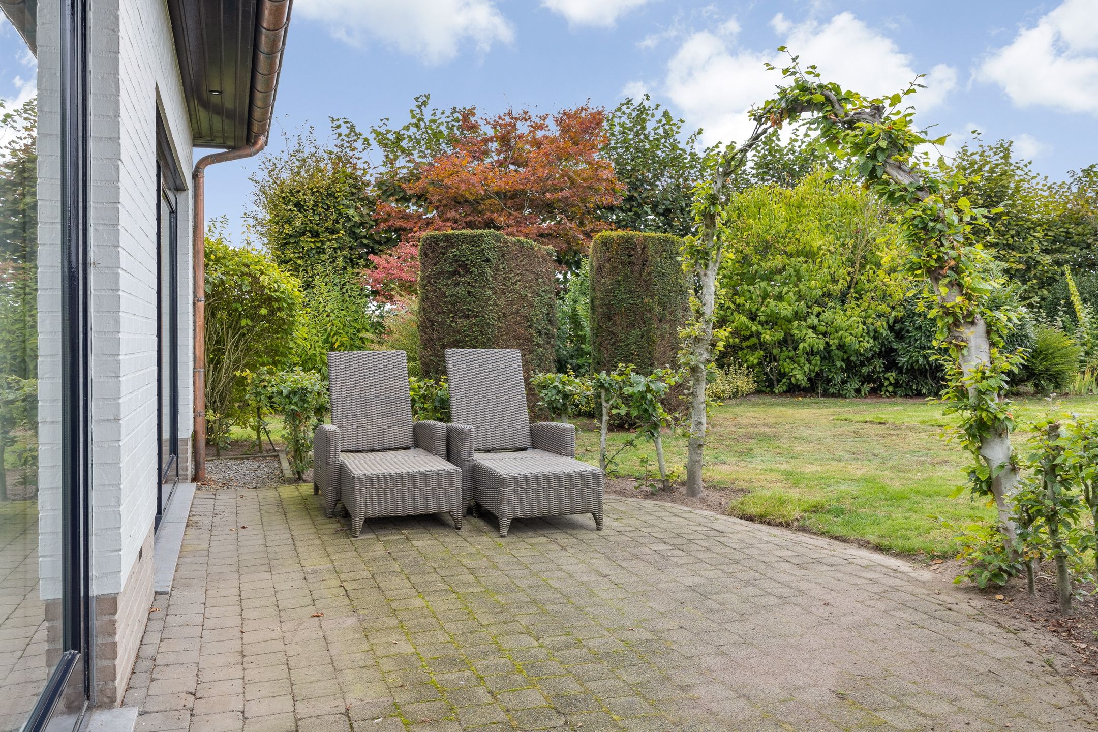 Photo 45 of Kastelein 4