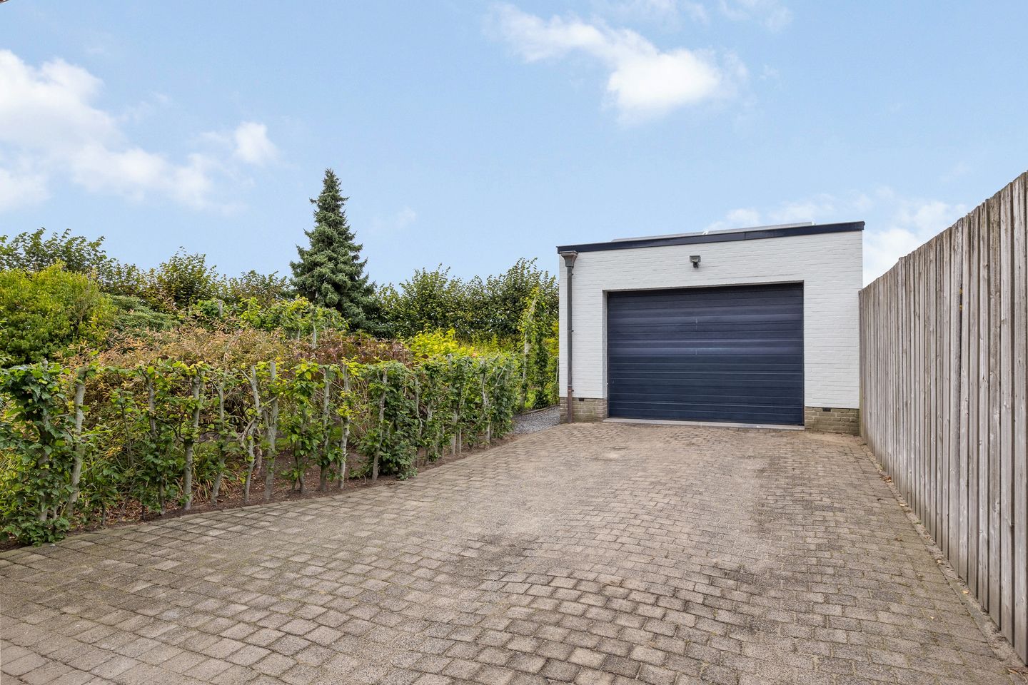 Photo 50 of Kastelein 4