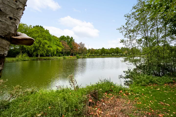 Foto 25 van Elisabethsdal 34