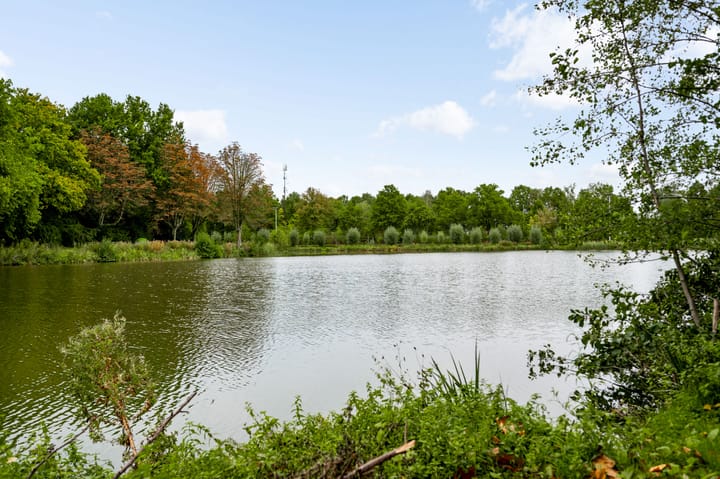 Foto 26 van Elisabethsdal 34