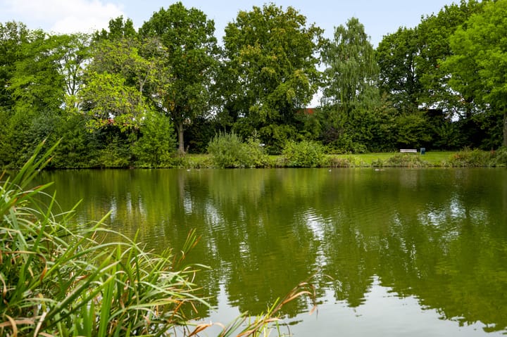 Foto 27 van Elisabethsdal 34