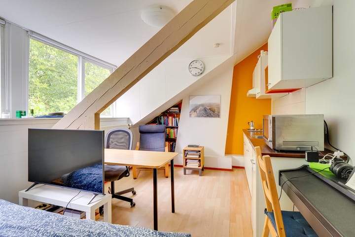 Photo 4 of Alexander Numankade 17